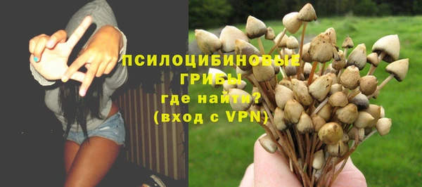 эйфоретик Абаза
