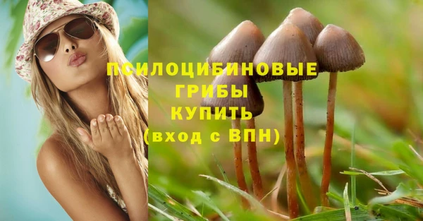 эйфоретик Абаза
